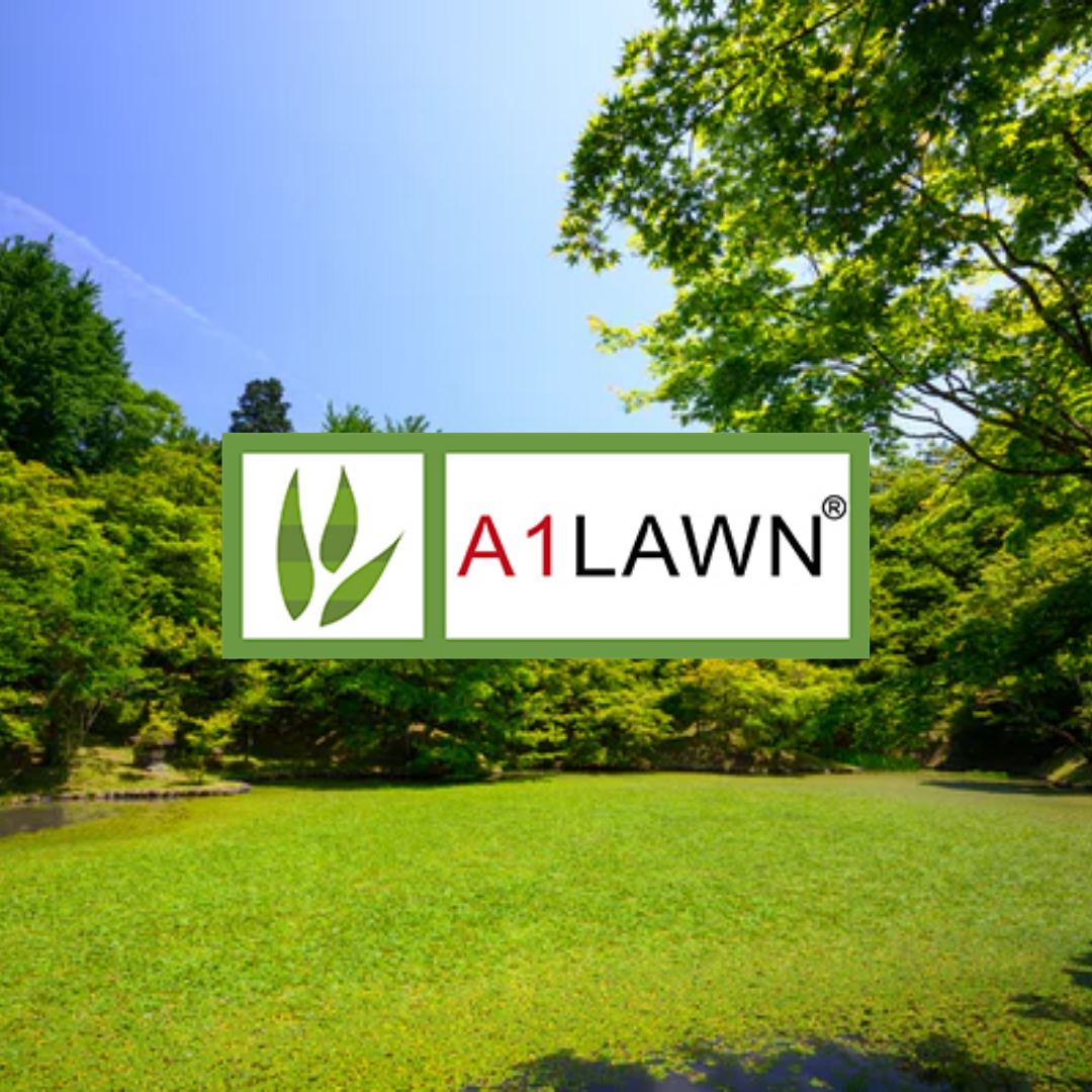 lawn seed suppliers